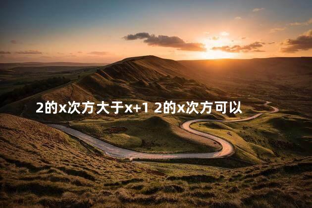 2的x次方大于x+1 2的x次方可以为零吗